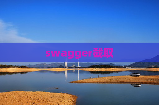 swagger截取